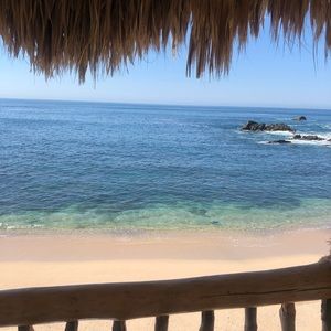 Meet your Posher, Monika